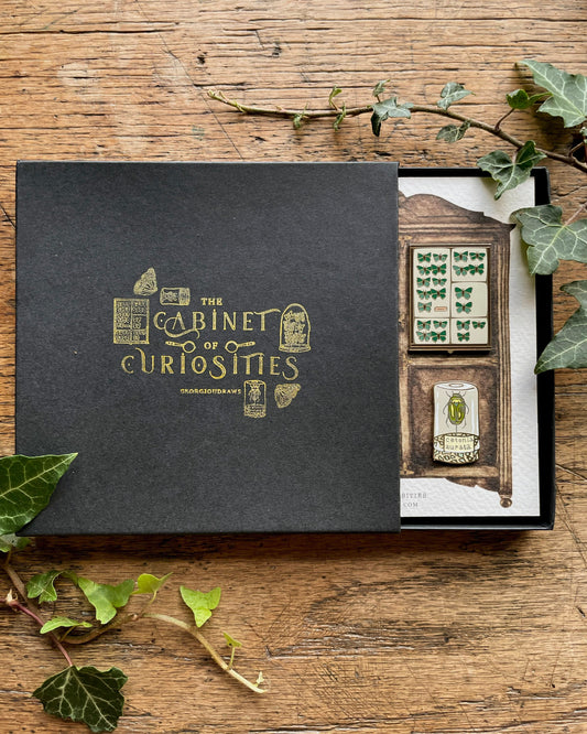 Cabinet of Curiosities Luxury Enamel Pin Box Set