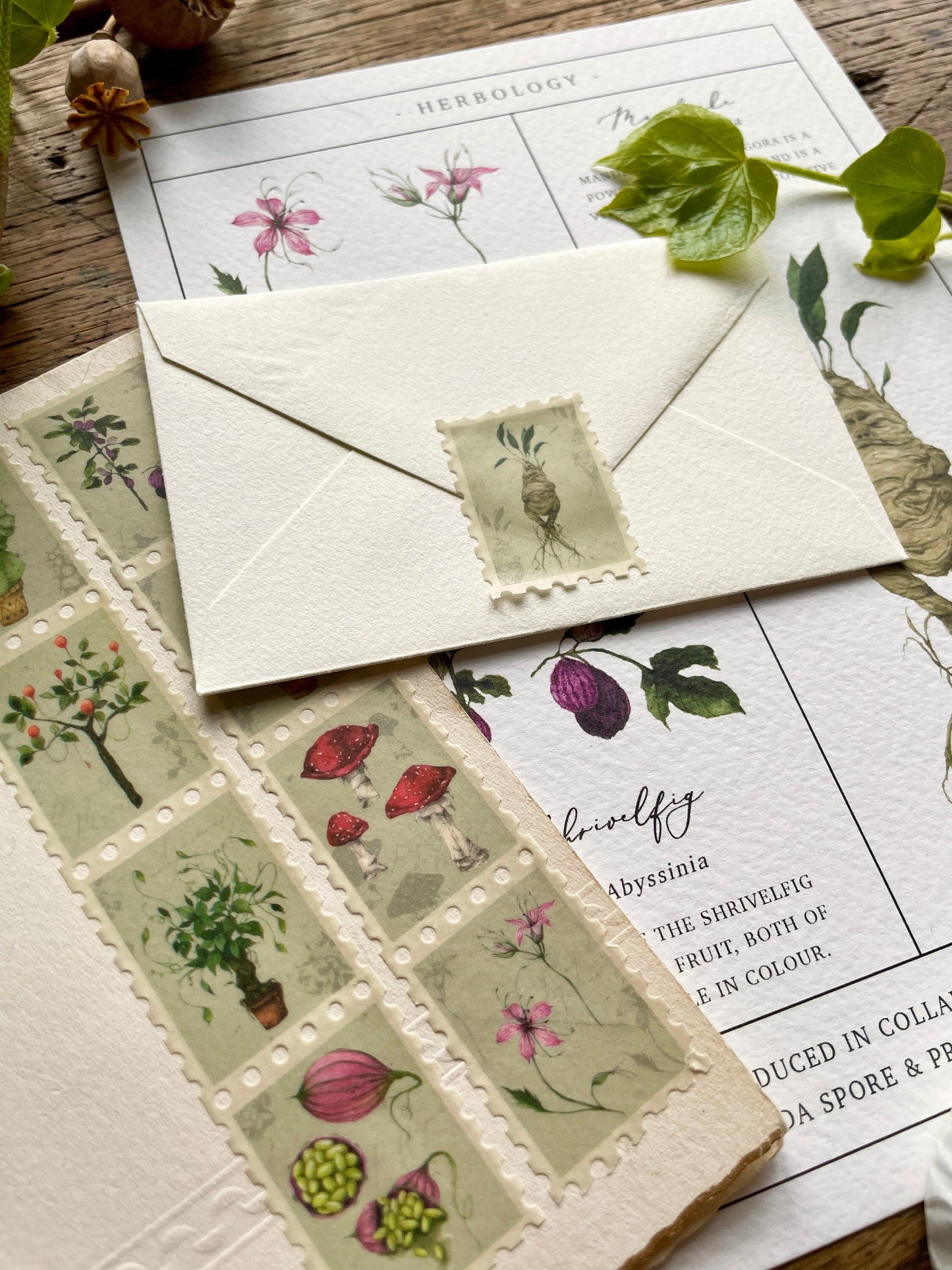 Pack of 3 | Herbology Stamp Washi Tape | Magical Herbology Tape