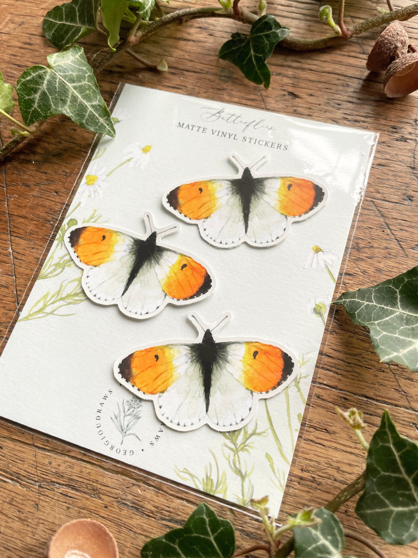 Orange Tip Butterfly Matt Vinyl Sticker Set | Nature Wildlife Illustration Art