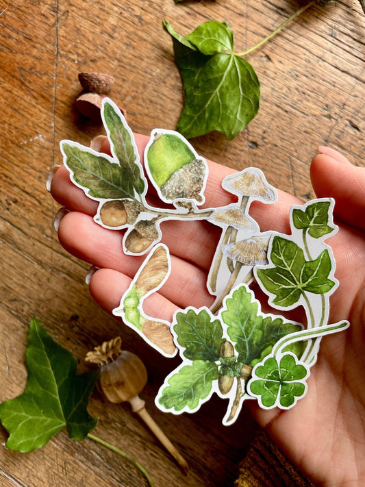 Woodland Nature Elements Matt Vinyl Sticker Set | Watercolour Nature Illustration
