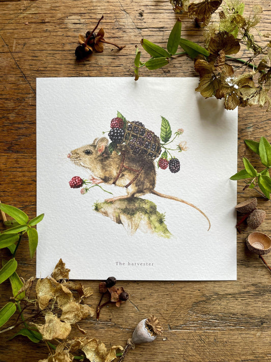 The Harvester Whimsical Animal Square Watercolour Art Print