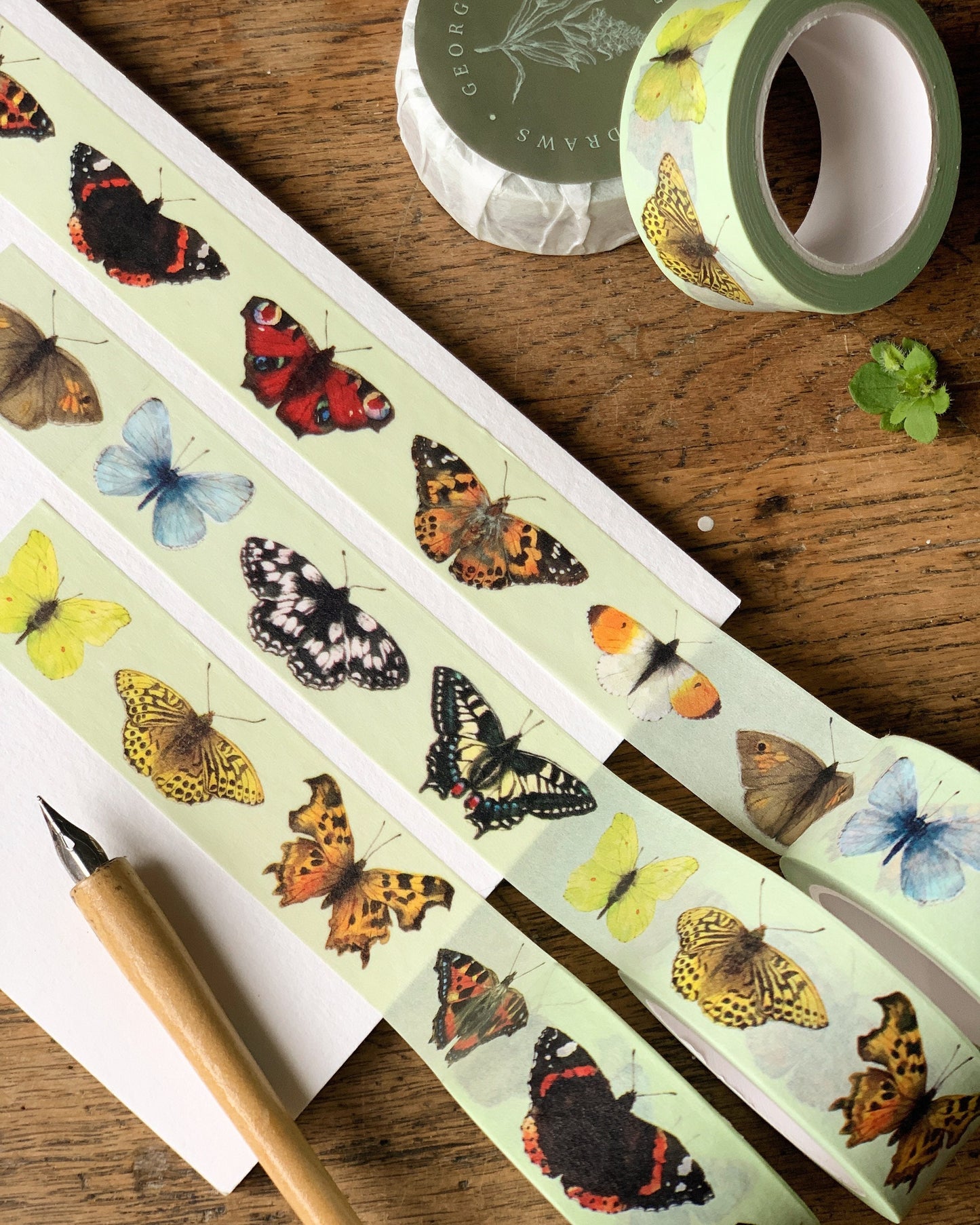 Pack of 3 | British Butterflies Washi Tape | Insect Entomology Butterfly Masking Tape