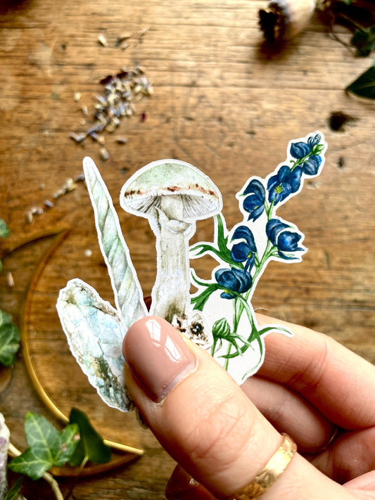 Potion Making Ingredients Matt Vinyl Sticker Set | Curious Magical Witchy Art