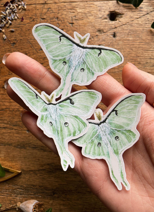 Luna Moths Matt Vinyl Nature Sticker Set