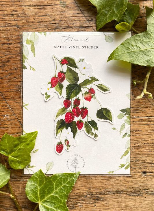 Strawberries Matt Vinyl Botanical Sticker | Nature Illustration Art