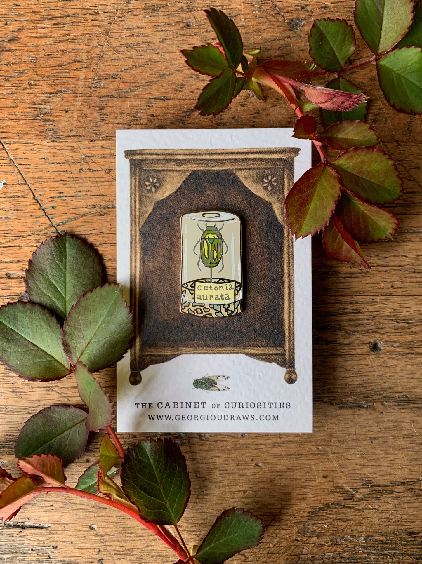 Beetle Specimen Jar Entomology Enamel Pin Badge