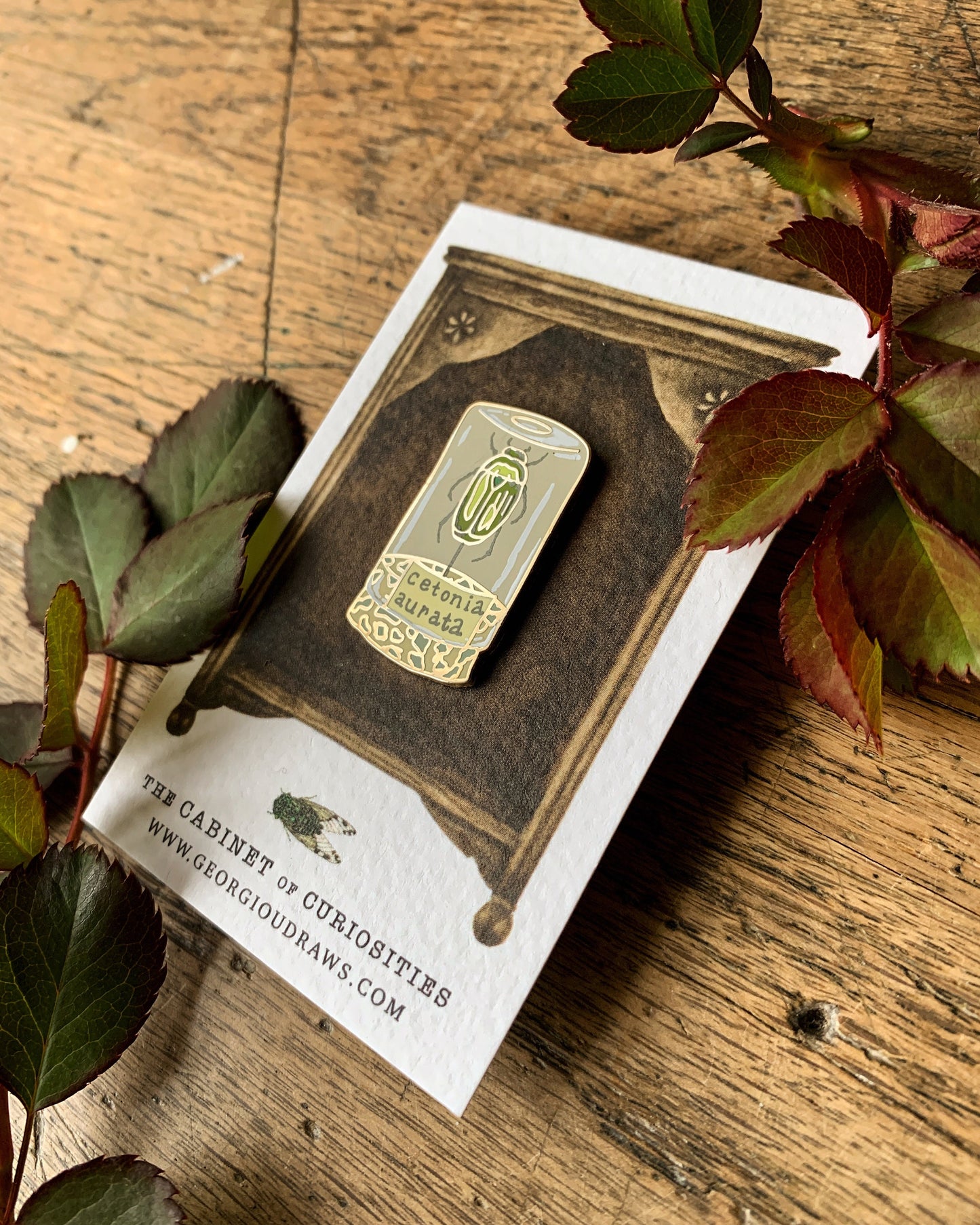Beetle Specimen Jar Entomology Enamel Pin Badge