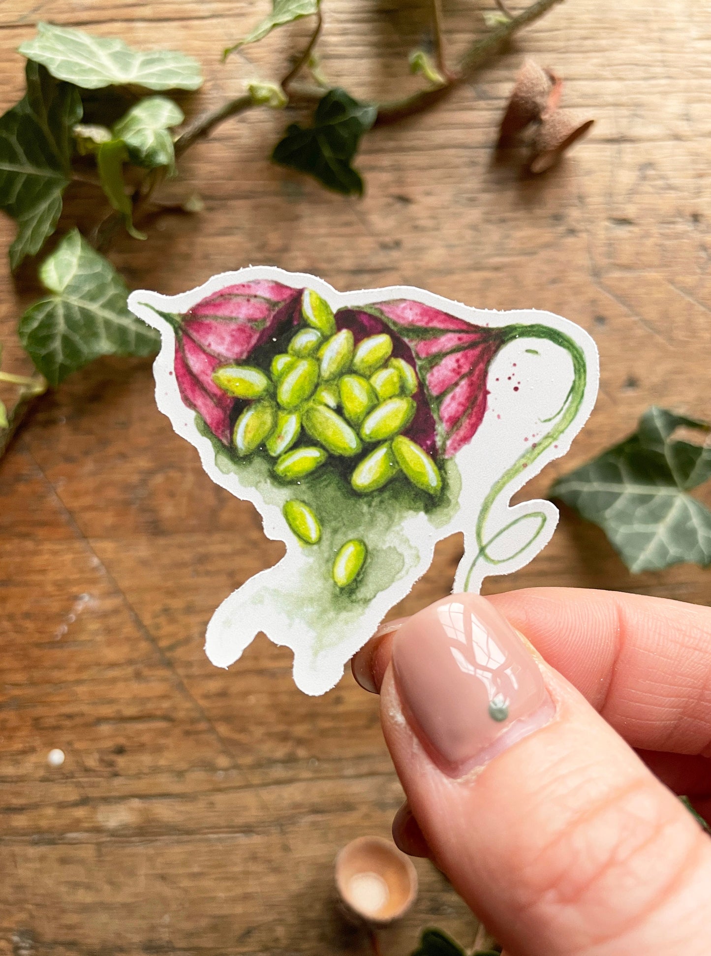 Herbology Matt Vinyl Sticker Set | Magical Herbology Stationery Art