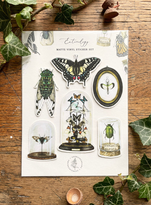 Entomology Matt Vinyl Sticker Set | Curious Nature Oddities Art