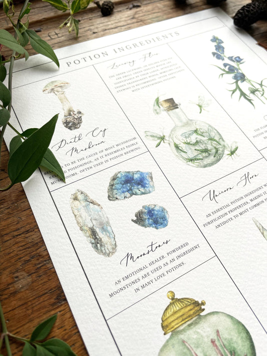 Potion Making Ingredients Watercolour A4 Art Print