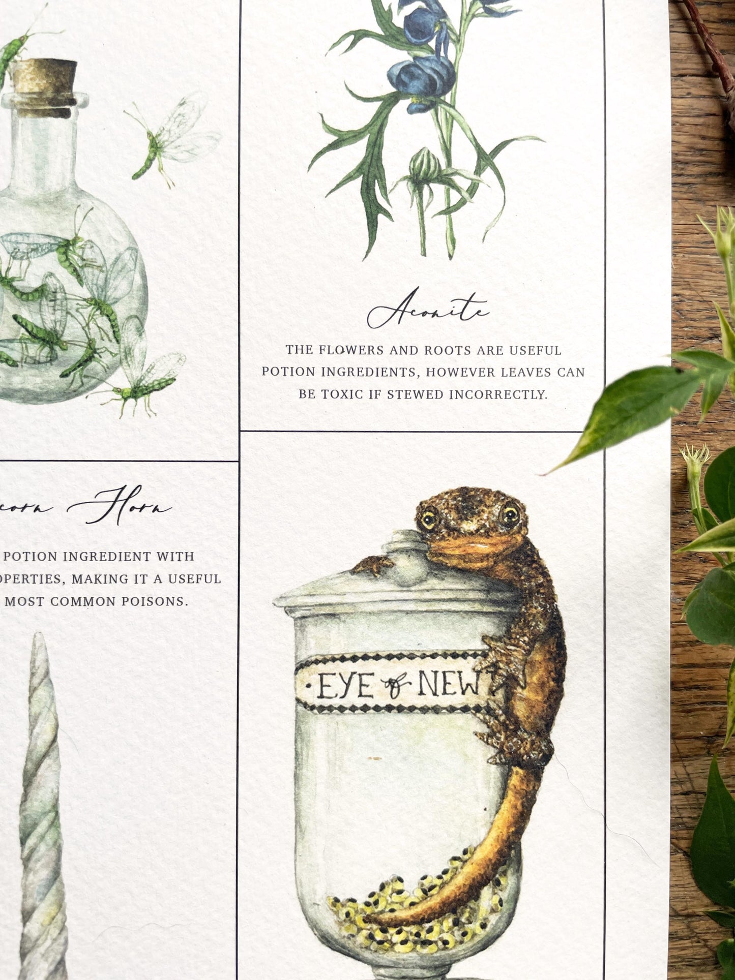 Potion Making Ingredients Watercolour A3 Art Print