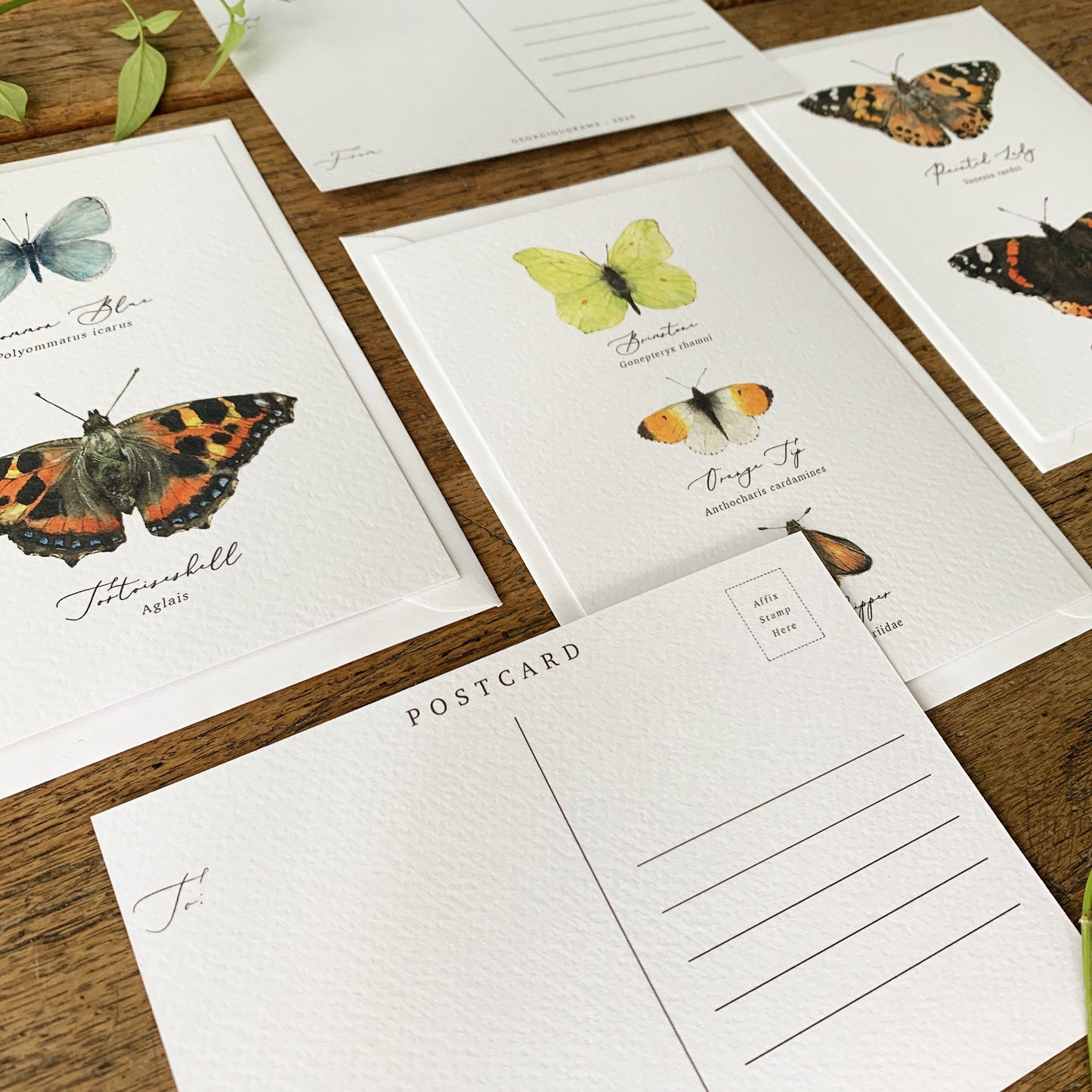 British Butterflies Entomology Postcard Series