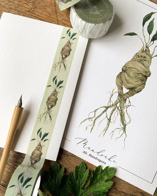 Pack of 2 or 3 | Mandrake Washi Tape | Magical Herbology Tape