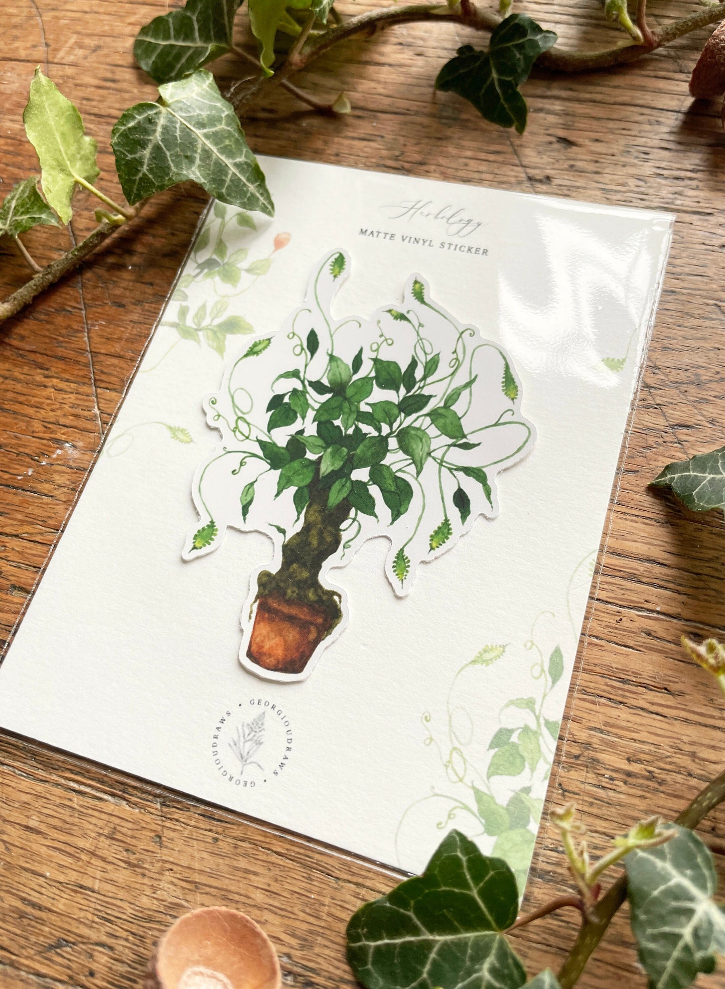 Herbology Matt Vinyl Sticker | Magical Herbology Stationery Art