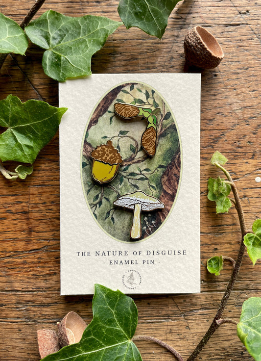 Woodland Seeds Mini Enamel Pin Badge Set | Nature Illustration Art