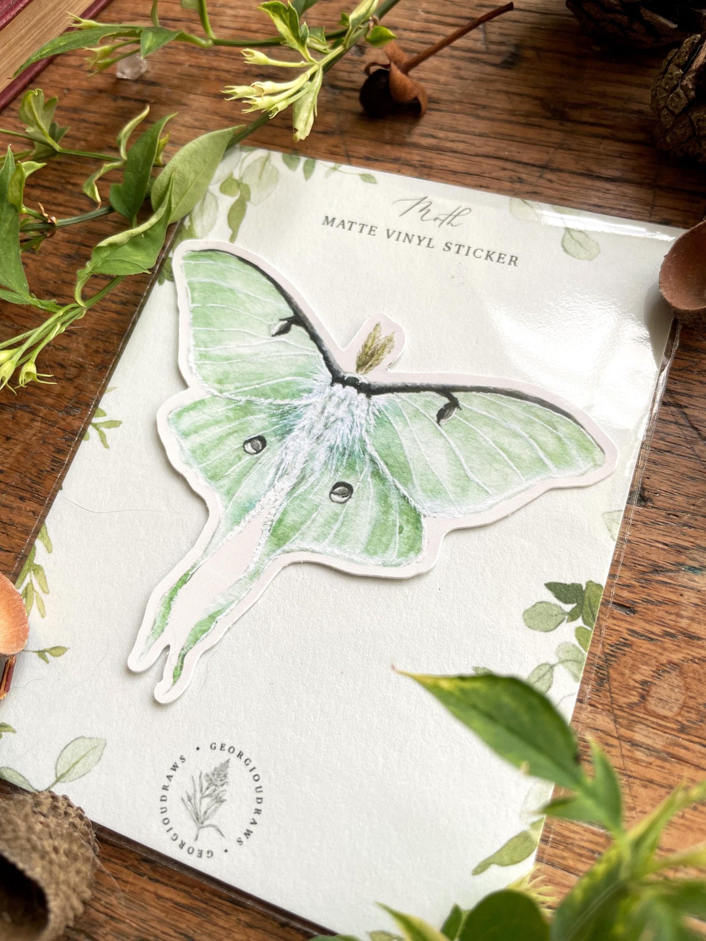 Luna Moth Matt Vinyl Nature Sticker | Nature Wildlife Illustration Art