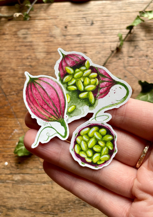 Herbology Matt Vinyl Sticker Set | Magical Herbology Stationery Art