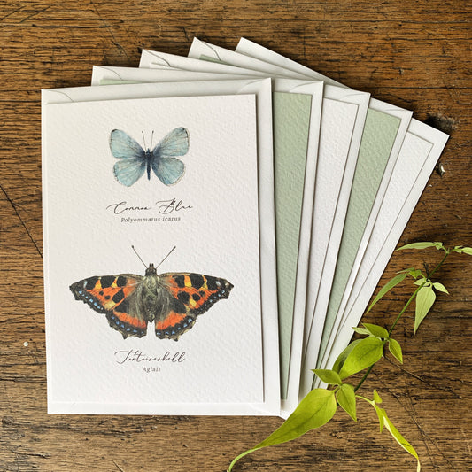 British Butterflies Entomology Postcard Series