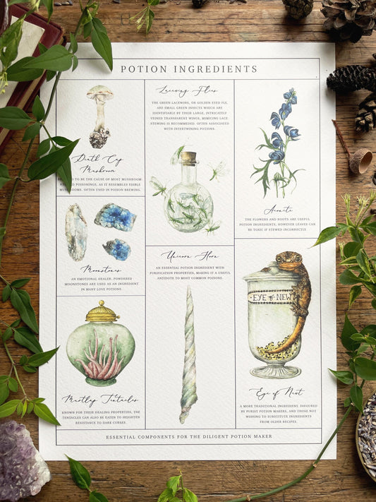 Potion Making Ingredients Watercolour A3 Art Print