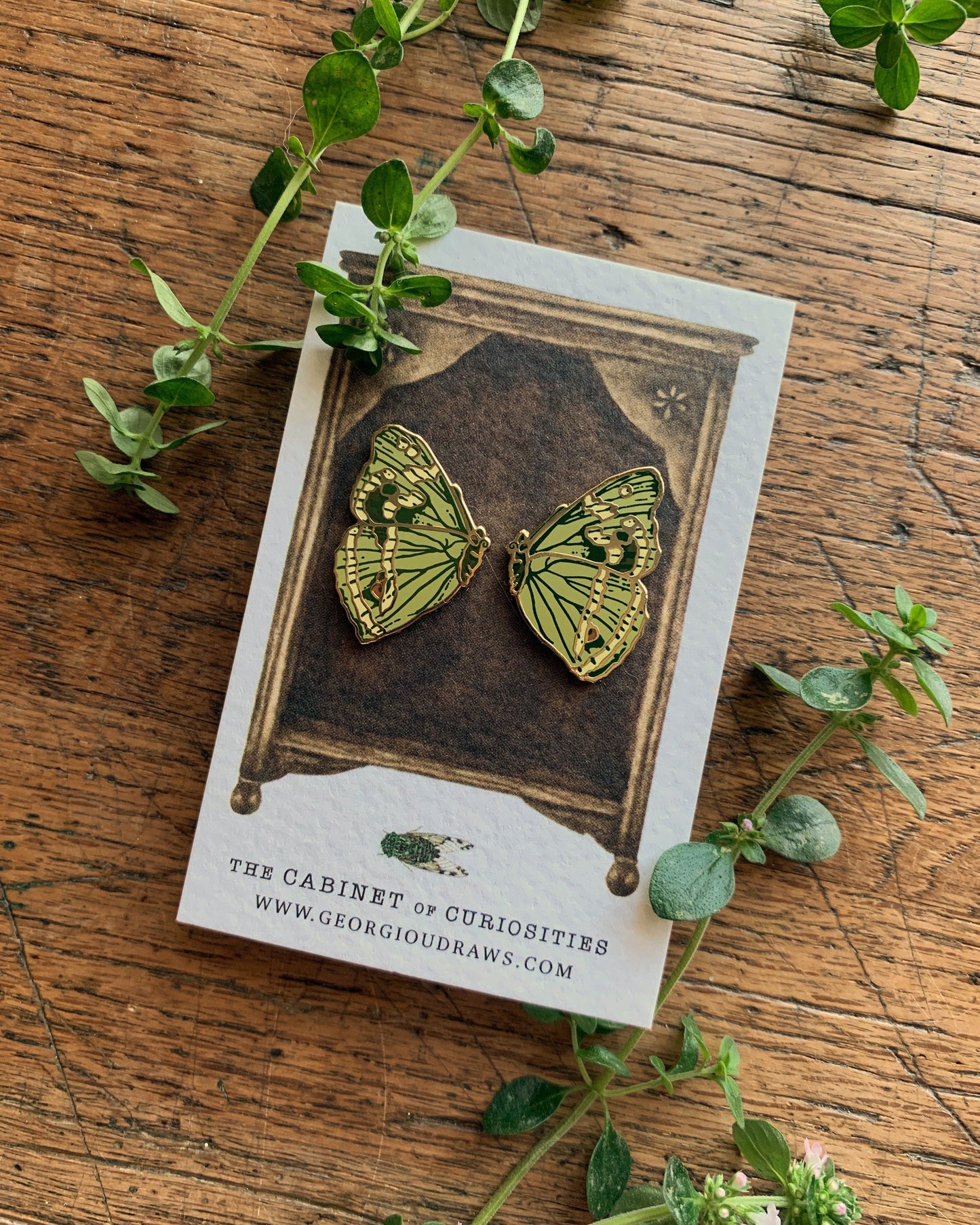 Butterfly Wings Enamel Pin Badge Set | Entomology Taxidermy Art