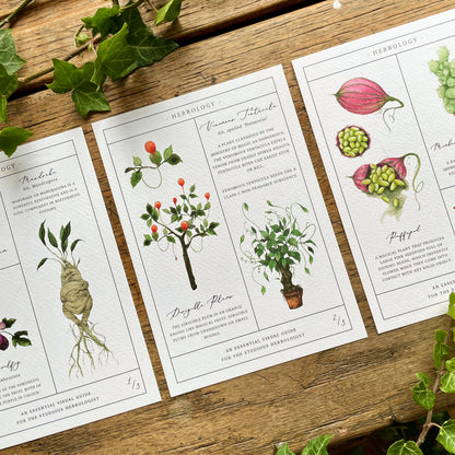 Herbology Chart A3 Print set