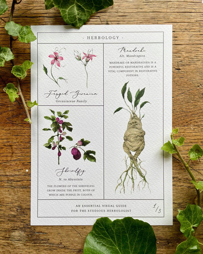 Herbology Chart A3 Print set
