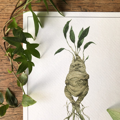 Mandrake A5 Print | Magical Herbology Illustration Art