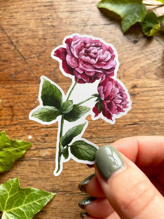 Dark Pink Peony Matt Vinyl Floral Sticker | Nature Illustration Art