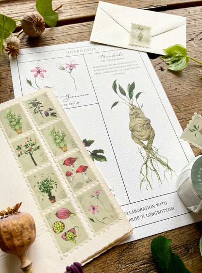 Pack of 3 | Herbology Stamp Washi Tape | Magical Herbology Tape