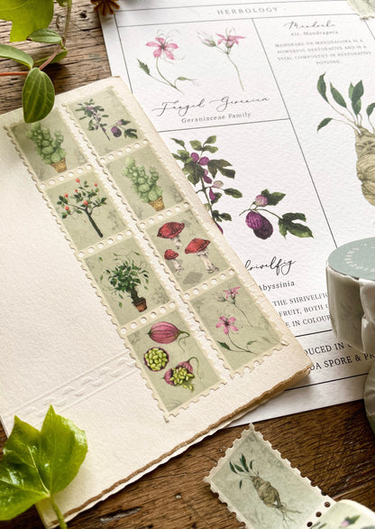 Pack of 3 | Herbology Stamp Washi Tape | Magical Herbology Tape