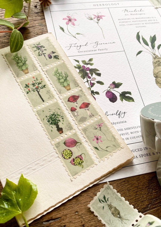 Pack of 3 | Herbology Stamp Washi Tape | Magical Herbology Tape