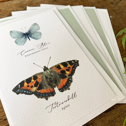 British Butterflies Entomology Postcard Series