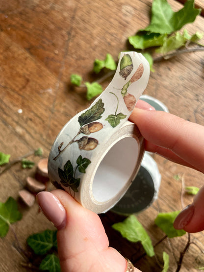 Natural Seeds and Elements Woodland Washi Tape | Botanical watercolour Illustration Art