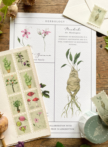 Pack of 3 | Herbology Stamp Washi Tape | Magical Herbology Tape