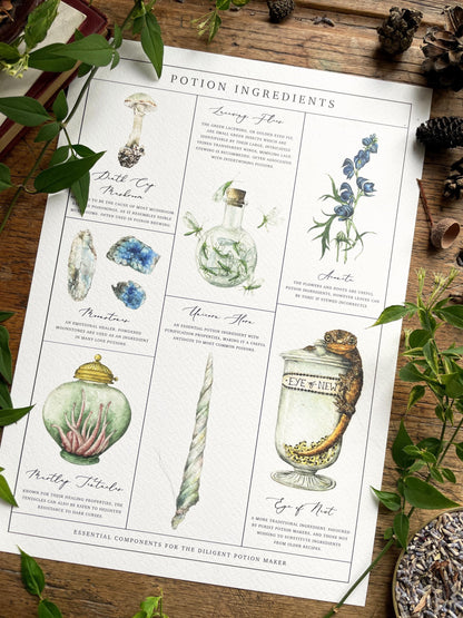 Potion Making Ingredients Watercolour A3 Art Print