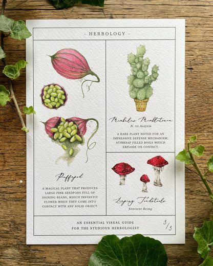 Herbology Chart A5 Print Set - Parts 1, 2 & 3