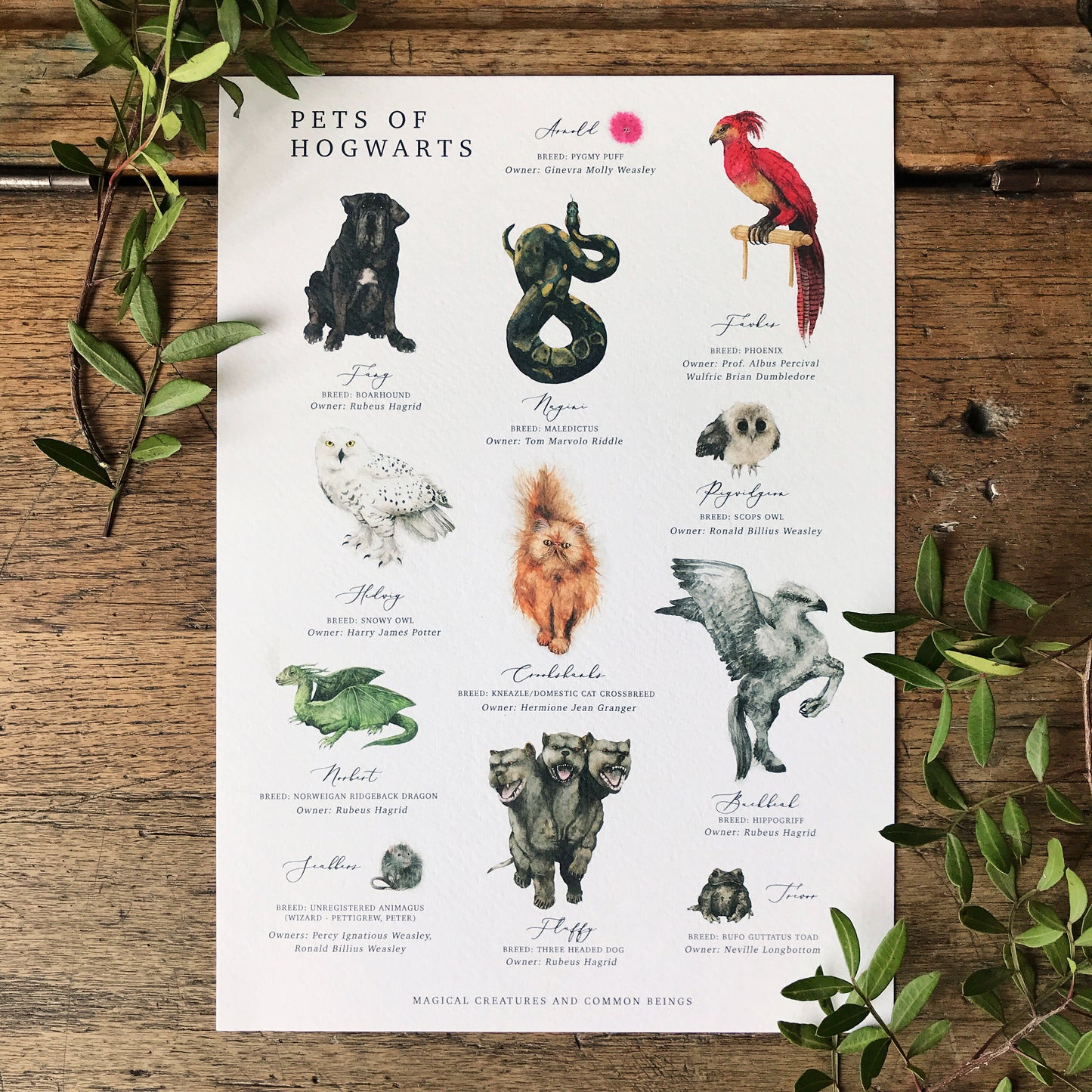 Magical Creatures A4 Print
