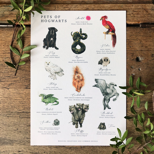 Magical Creatures A4 Print