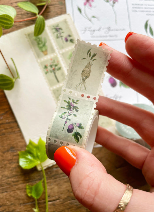 Pack of 3 | Herbology Stamp Washi Tape | Magical Herbology Tape