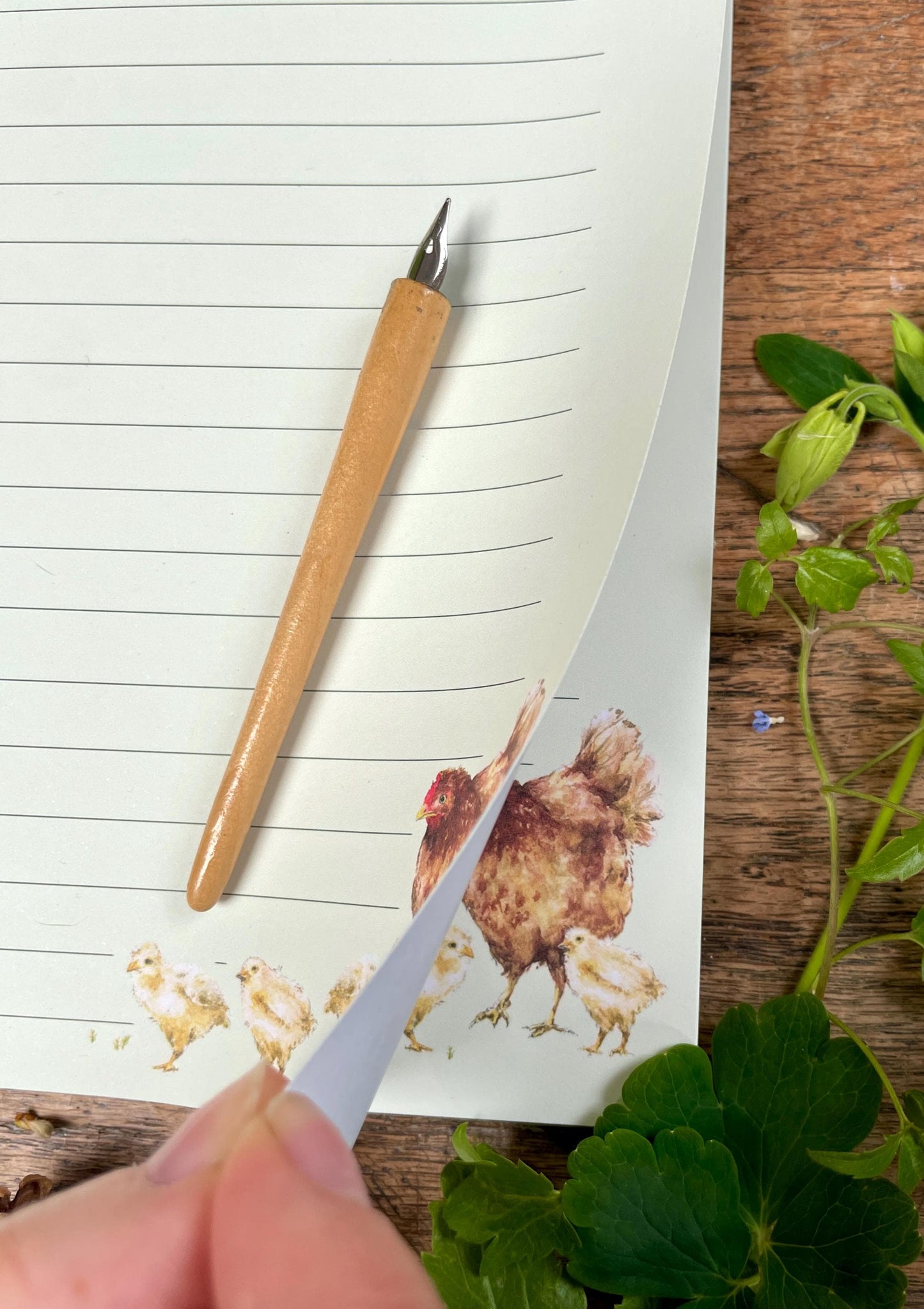Don't Hatch a Messy Plan! Chickens Watercolour Notepad | whimsical cottagecore Stationery
