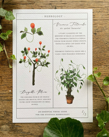 Herbology Chart A4 Print Set