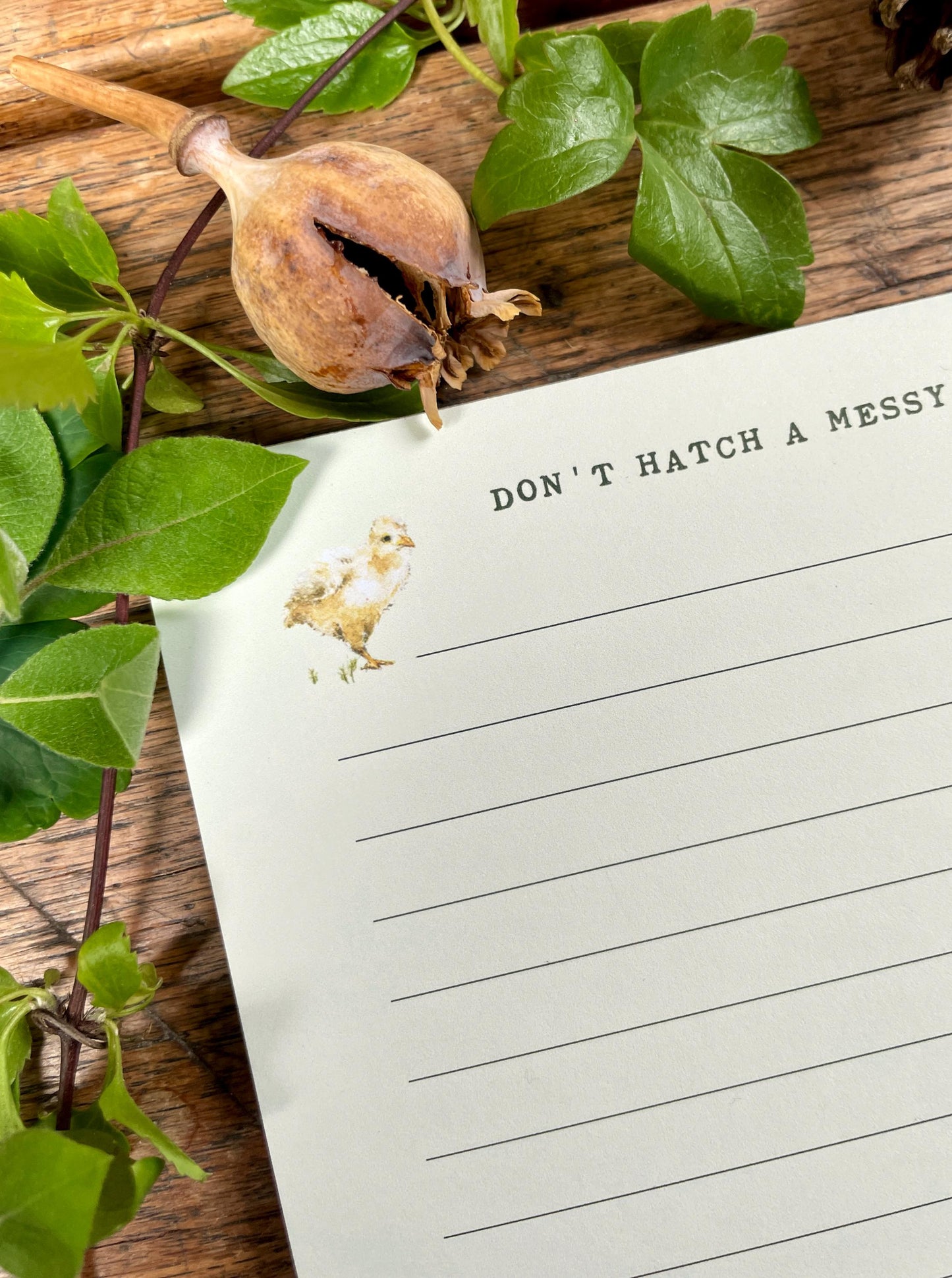 Don't Hatch a Messy Plan! Chickens Watercolour Notepad | whimsical cottagecore Stationery
